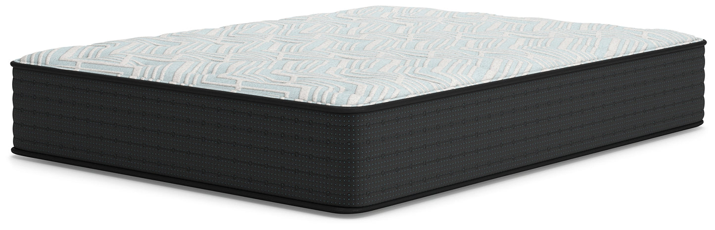 Ashley Express - Palisades Plush Mattress